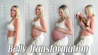 PREGNANCY TRANSFORMATION | Week By Week Belly Growth