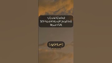 سورة الأنبياء الآية ٧١ الى ٧٣ بصوت الشيخ محمد صديق المنشاوي