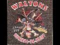 The Waltons - Wayfaring Stranger