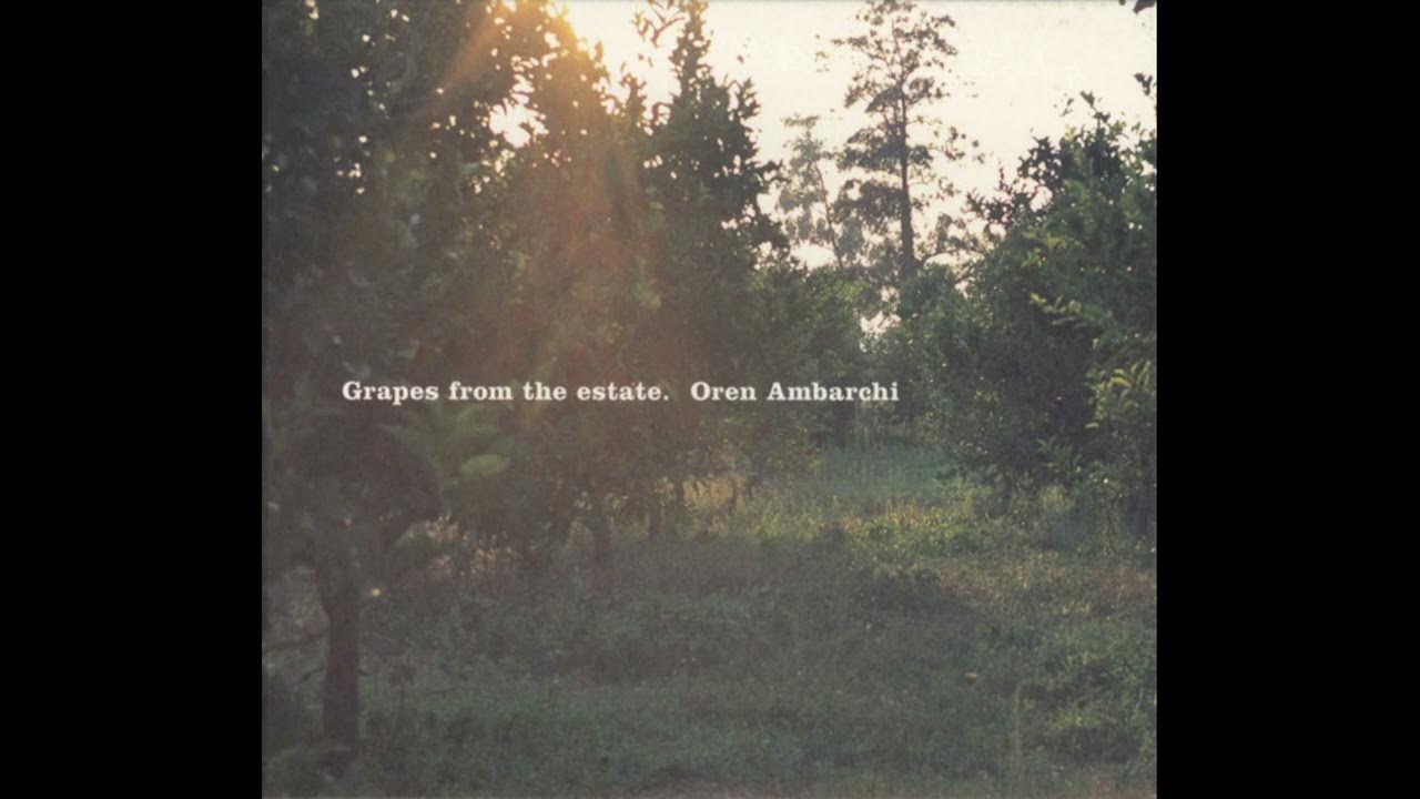 Oren Ambarchi || Grapes From The Estate (2004) Full Album Oren Ambarchi || Grapes From The Estate (2004) Full Album
