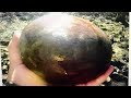 REAL DINOSAURS EGG FOUND! MOST AMAZING DISCOVERY ON FUN HOUSE TV SHOW