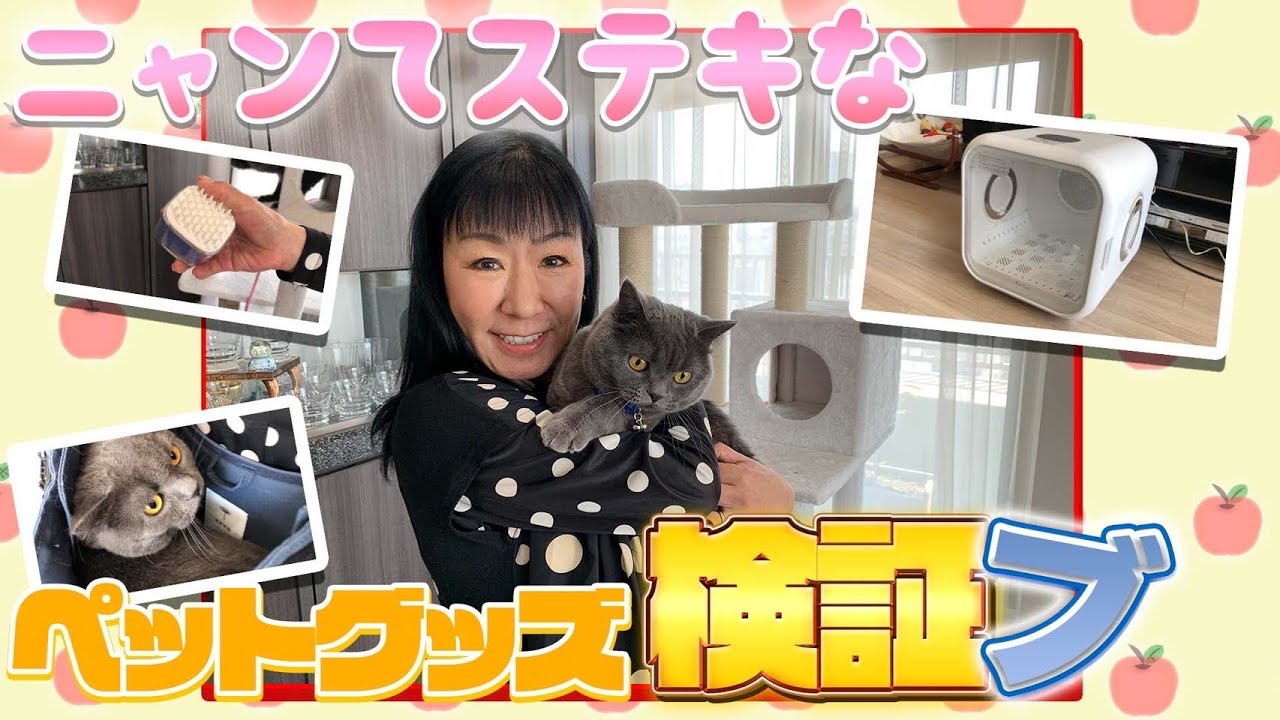 #086【検証】ペットグッズをタウザー君にも試してみました！