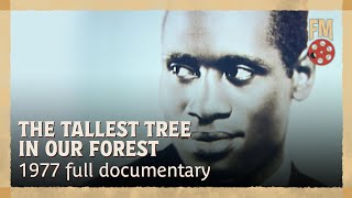 Tallest Tree in Our Forest (1977) | Full Classic Documentary Film
