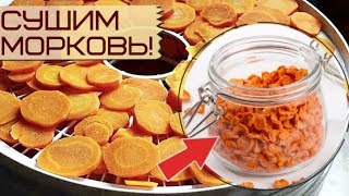 видео: Всегда сушите морковь на зиму! Вкус божественный! Как и где сушить морковь на зиму? картинка: Всегда сушите морковь на зиму! Вкус божественный! Как и где сушить морковь на зиму?
