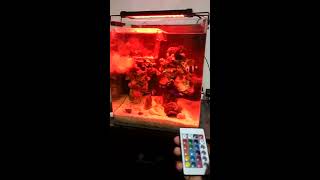 ＬＥＤ魚缸燈