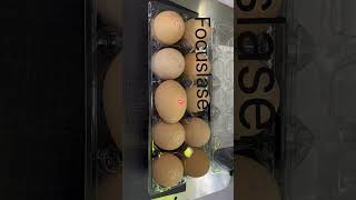 Uv Laser Marking On Eggs Laser