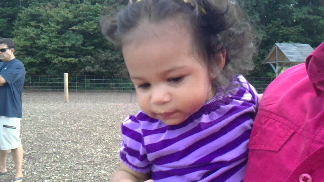 Summer 12 months at the Dog Park.MP4 rire aux éclats