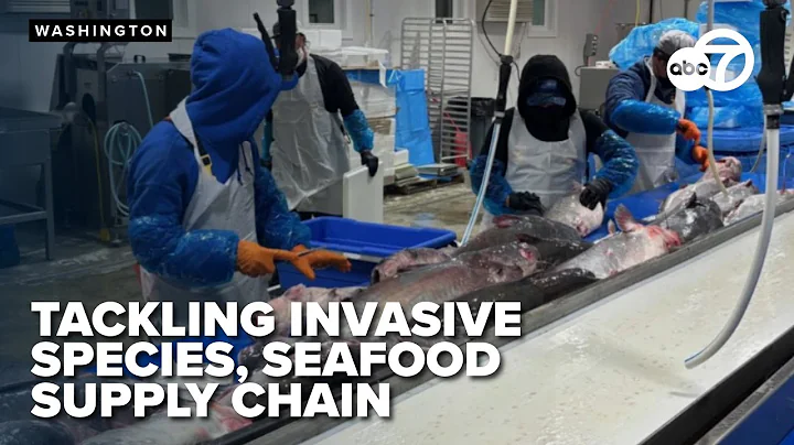 USDA announces plans to boost seafood supply chain and stop invasive species