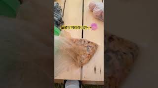 2025년 9월 26일# 주먹밥은 쪼물딱거리는맛이라니까ㅡ#koreanfood  #food