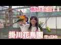 鳥との距離が近すぎる...!掛川花鳥園が天国すぎた【周辺観光も紹介】🦜