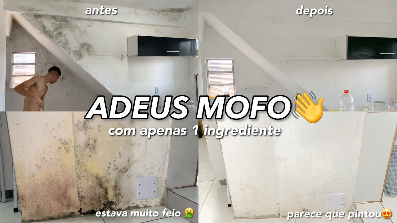 COMO TIRAR MOFO DA PAREDE *com apenas 1 ingrediente* - YouTube