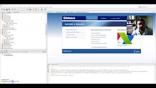 Programación en Java Netbeans consola. Creación de un contador básico aplicando ciclos.
