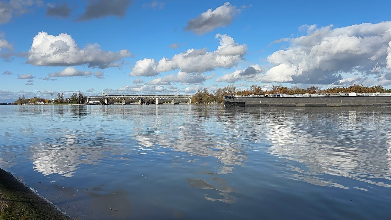 Promenade au Bord du Rhin 