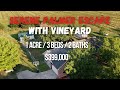 🏡House for Sale in Palmer TX 1-Acre Property with Guest Cabin & Private Vineyard 🍇Full Walkthrough