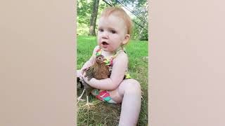 Funny Babies and Animals   Kudo Funny Laugh