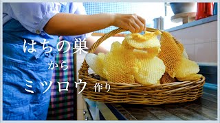 【蜜蝋作り】はちの巣からミツロウを作るよ