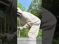Root Exposure Moringa Gardening Experiment  Wet &amp; Wild!