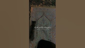 آيات القرآن الكريم ماتيسر من القرآن #love #quran #dubai #reels #edit #متابعه #قران_كريم #تذكار