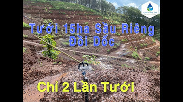 Mô hình tưới 15 hecta sầu riêng đồi dốc, đạt hiệu suất và độ đồng đều trên 90%