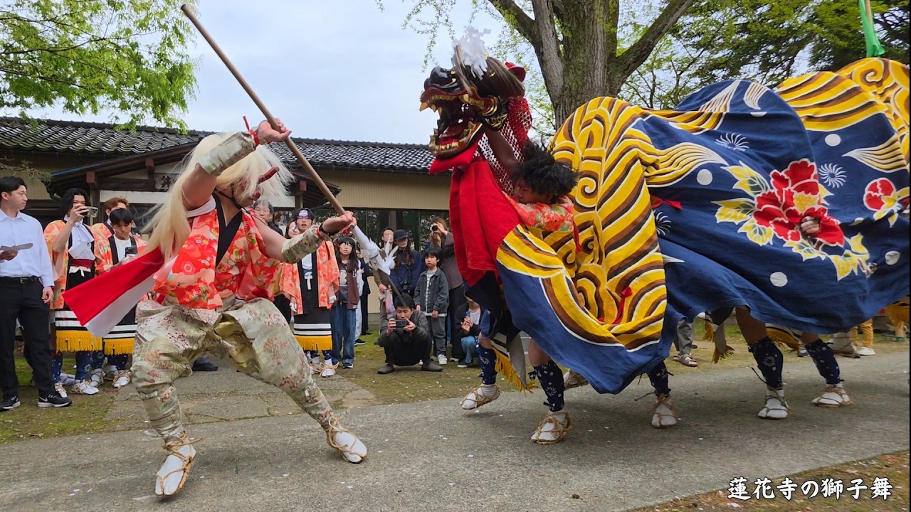Takaoka Renkaji Temple Spring Festival 2026: Lion Dance and Banner
