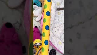 Pixie Litter TT video 3