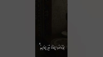 - هو الذي أنزل السكين في قلوب المؤمنين.🖤🎧 سورة: الفتح ، الآية(4) القارئ: يوسف حميدي. #قرآن