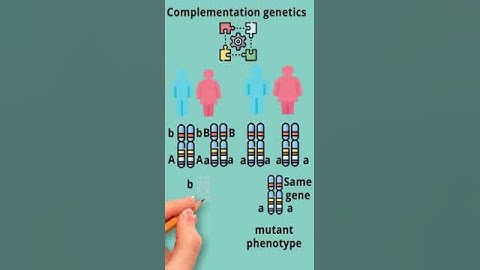 the concept of complementation genetics