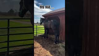 “HE ISN’T THAT BIG…”