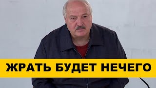 Лукашенко ВЗОРВАЛСЯ / Беларусь в опасности?! Народные Новости