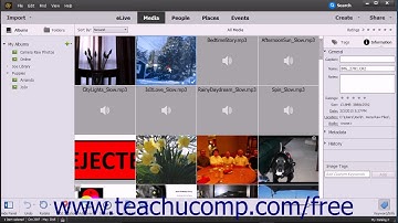 Photoshop Elements 15 Tutorial JPEG and Camera Raw Adobe Training