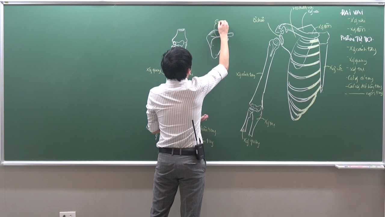 CHI TRÊN: XƯƠNG CHI TRÊN - NHỮNG ĐẶC ĐIỂM CƠ BẢN (PHẦN 1)