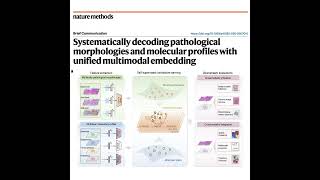 988-Multi-Embed：病理形态与分子图谱的多模态统一嵌入