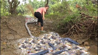 Amazing Fishing: Draw Water From Natural Pools As Floodwaters Recede - Catch A Lots Of Fish