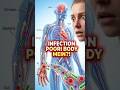 Infection poori body mein kaise spread hoti hai? (Shocking Truth)#infection#virus #bacteria #shorts
