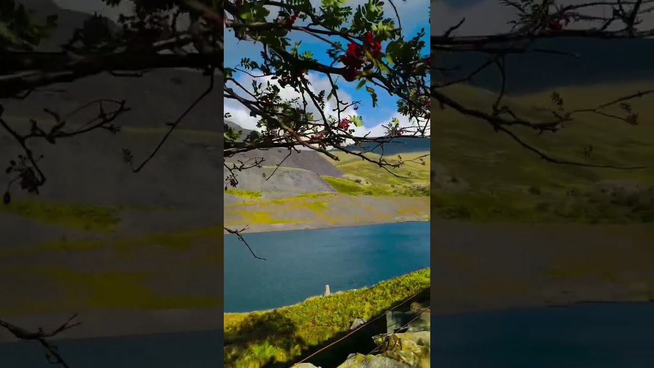 “Peaceful Wales Reservoir 🌿 | Nature’s Perfect Escape 🌊