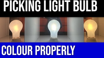 LIGHTBULB COLOUR TEMPERATURE EXPLAINED // soft white, warm white, cool white….