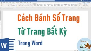 Top 4 đánh số trang từ trang bất kỳ trong word 2010 tốt nhất, đừng bỏ lỡ