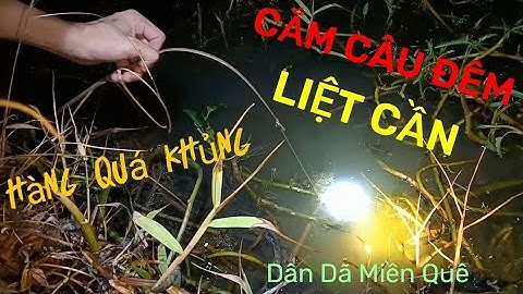 Cắm Câu Cá Lóc. Liệt Cần Liên Tục Vì Dính Quá Nhiều Hàng Khủng | Dân Dã Miền Quê