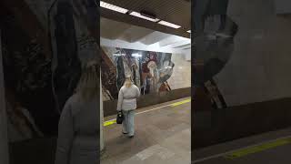Siberia. Novosibirsk. Metro station Sibirskaya Fragment А 9