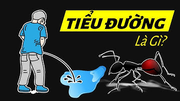 Bệnh Tiểu đường là gì? Hiểu rõ chỉ đúng trong 5 phút