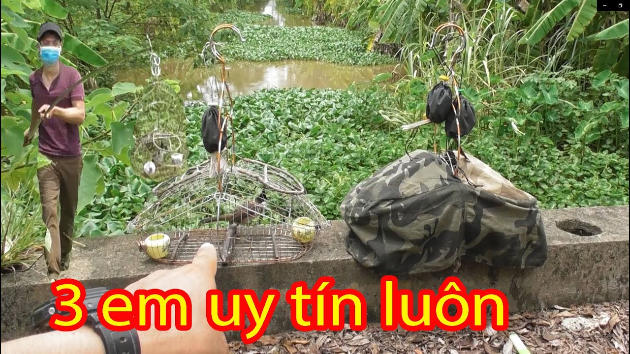 theo chân anh em lụp thủ CHUYÊN NGHIỆP ăn 3 em uy tín luôn