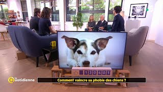 Comment vaincre sa phobie des chiens ?