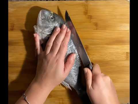 დორი ▪️ Dory