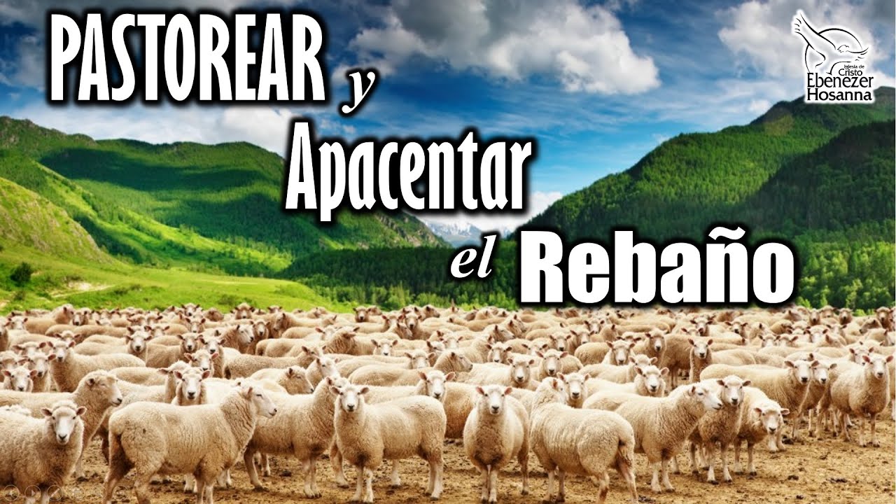 PASTOREAR Y APACENTAR EL REBAÑO - Pastor Gustavo Padilla - YouTube