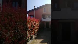 Whatsapp Video 2019 03 28 At 17 10 05