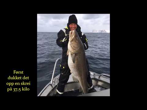 Video: Latterlig Fiskeanmeldelse