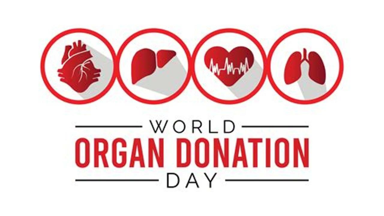 World Organ Donation Day 2025 What organs can a person donate and what is the process Check here