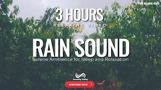 Rain for Sleep Instantly | 3 Hours of Blissful Rainfall Over Cinnamon Trees | Serenity Valley 🌧🌧