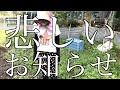 【きんちゃい農園】田舎暮らしの洗礼を受けました。【存続の危機】