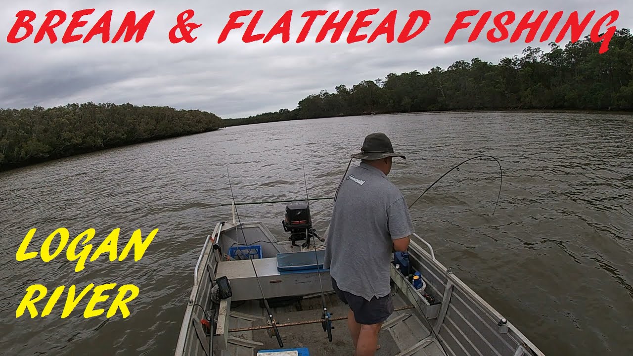 BREAM & FLATHEAD FISHING   LOGAN RIVER 28TH DEC 2025